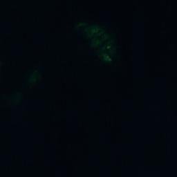 Satellite imagery of Halvvägslägnen, AX