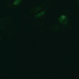 Satellite imagery of Östra Halvan, AX