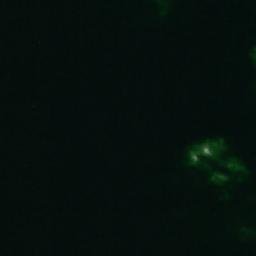 Satellite imagery of Mangrund, AX