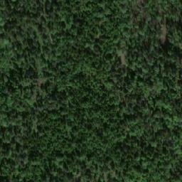 Satellite imagery of survey_point, NO