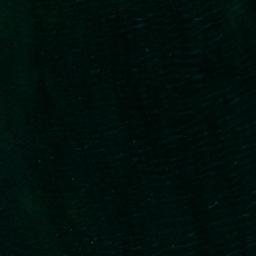 Satellite imagery of survey_point, SE
