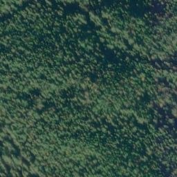 Satellite imagery of Monument 131, CA