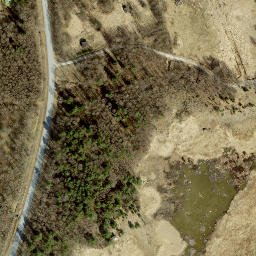 Satellite imagery of Sadamneem, EE