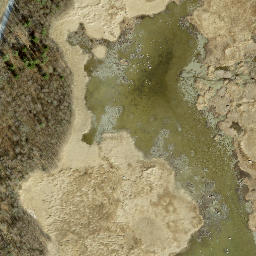 Satellite imagery of Sadamneem, EE