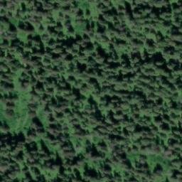 Satellite imagery of Monument 136, CA