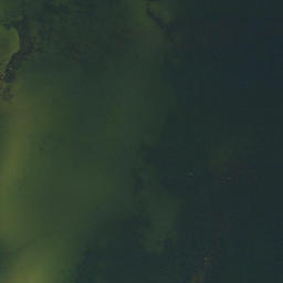 Satellite imagery of Pedassaare Nina, EE