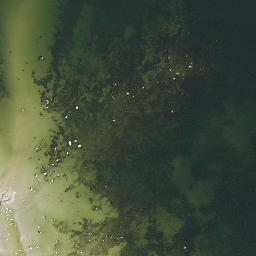 Satellite imagery of Pedassaare Nina, EE