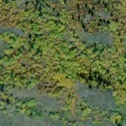 Satellite imagery of Mount Munro, CA