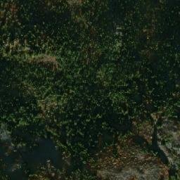 Satellite imagery of Spruce Mountain, CA
