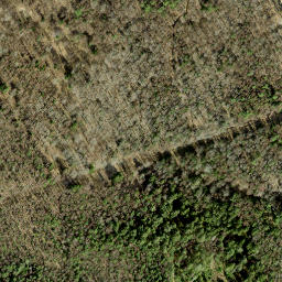 Satellite imagery of Koljunukk, EE