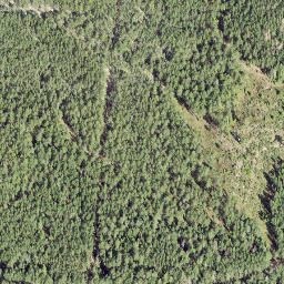 Satellite imagery of Vainupea Neem, EE