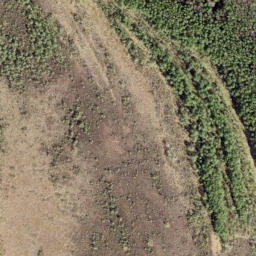 Satellite imagery of survey_point, EE