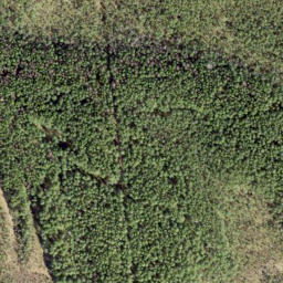 Satellite imagery of survey_point, EE