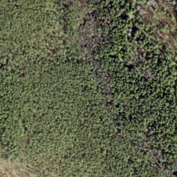 Satellite imagery of survey_point, EE