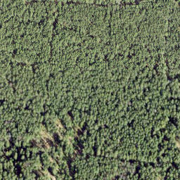 Satellite imagery of Vainupea Neem, EE