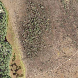Satellite imagery of survey_point, EE