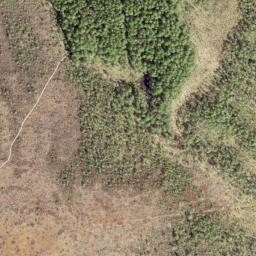 Satellite imagery of survey_point, EE