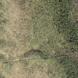 Satellite imagery of survey_point, EE