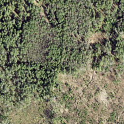 Satellite imagery of Vainupea Neem, EE