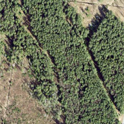Satellite imagery of Vainupea Neem, EE