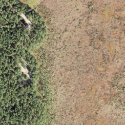 Satellite imagery of survey_point, EE