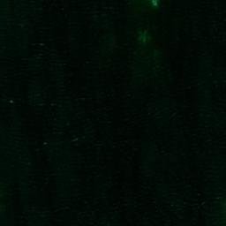 Satellite imagery of Trutkobbarna, SE