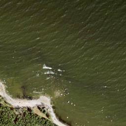 Satellite imagery of Letipea Neem, EE