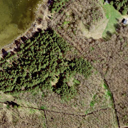 Satellite imagery of Letipea Neem, EE