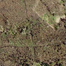 Satellite imagery of Letipea Neem, EE