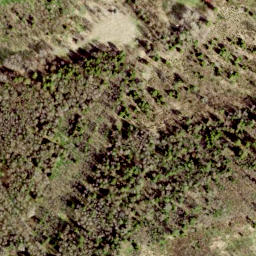 Satellite imagery of Letipea Neem, EE
