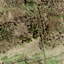 Satellite imagery of Letipea Neem, EE