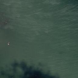 Satellite imagery of Tammneem, EE