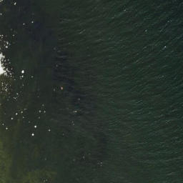 Satellite imagery of Toolse Neem, EE