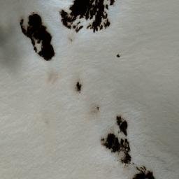 Satellite imagery of Hale Mountain, CA
