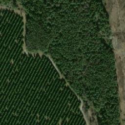 Satellite imagery of survey_point, SE
