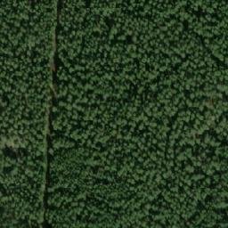 Satellite imagery of survey_point, SE