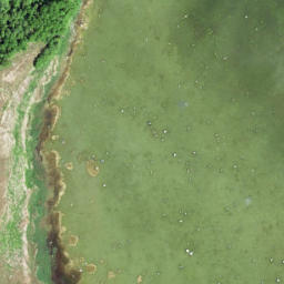Satellite imagery of Koljuots, EE