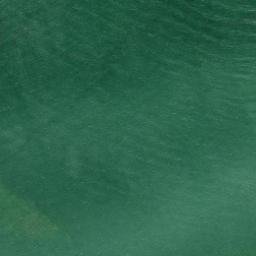Satellite imagery of survey_point, EE