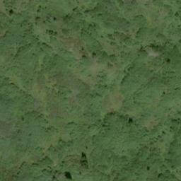 Satellite imagery of Surgeon Mountain, CA