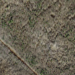 Satellite imagery of survey_point, EE