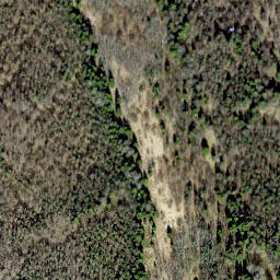 Satellite imagery of survey_point, EE