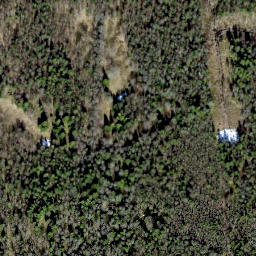 Satellite imagery of survey_point, EE