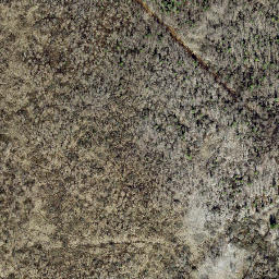 Satellite imagery of survey_point, EE