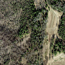 Satellite imagery of survey_point, EE