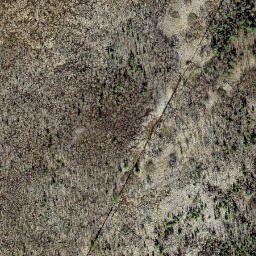 Satellite imagery of survey_point, EE