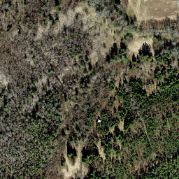 Satellite imagery of survey_point, EE