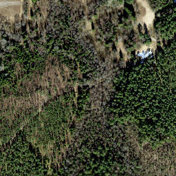 Satellite imagery of survey_point, EE