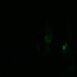 Satellite imagery of Gråskär, SE