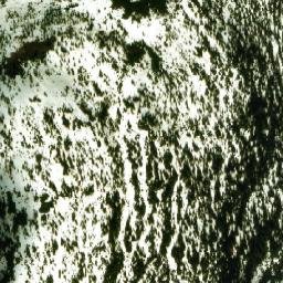 Satellite imagery of Tagish Highland, CA