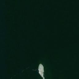 Satellite imagery of Svartkobb, SE